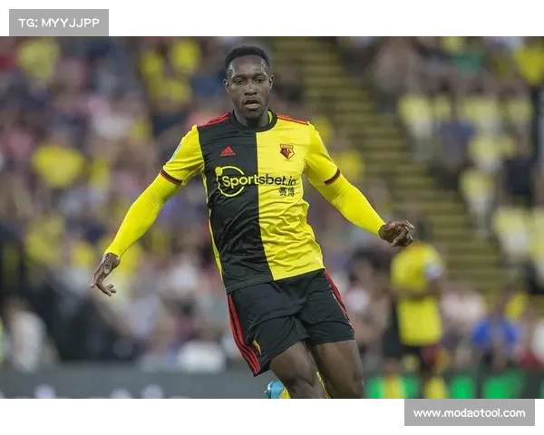 全面解析丹尼·维尔贝克为何被球迷亲切称作黑贝的来历与深层原因